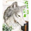 Ebros Large Fenrir Alpha Gray Wolf Head Wall Decor Plaque