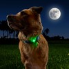 Nite Ize NiteDog Rechargeable Pet Light - Dog Light with