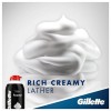 Gillette Foamy Regular Shaving Foam, 2 Oz (Pack of 4)...
