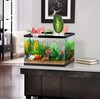 2 PCS Aquarium Plant Holder Top Hanging Fish Tank Plant