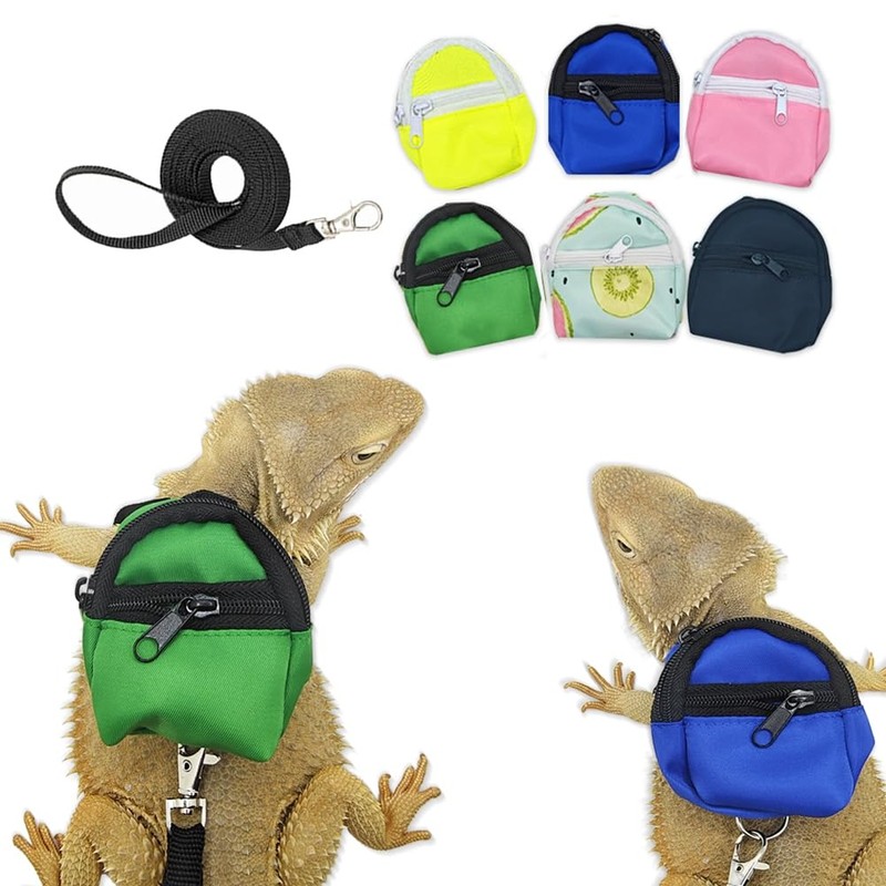 Bearded Dragons Harness Leashes Set Cute Backpack Back to School
