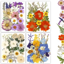 Buzidao Dried Pressed Flowers, 80Pcs Real Natural Pressed Flowers Bulk for Resin Nail Art Scrapbooking Candle Jewelry Making DIY Crafts Real Dried Pressed Flowers Resin Supplies Kit (Multi Color-2)