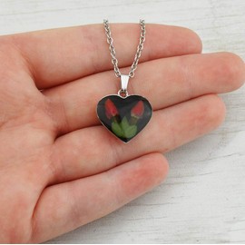 FashionJunkie4Life Two Real Mini Red Rose Buds in Heart Pendant Necklace - Stainless Steel - Flowers Forever Preserved in Resin, Black Background 18" Stainless Chain