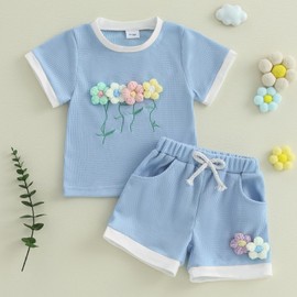 Toddler Girl Summer Waffled Clothes 3D Flower Short Sleeve Round Neck Tops Elastic Waist Shorts Outfit (SKY BLUE, 3-4Y)