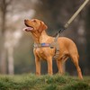 Annchwool No Pull Dog Harness with Soft Padded Handle,Reflective Strip