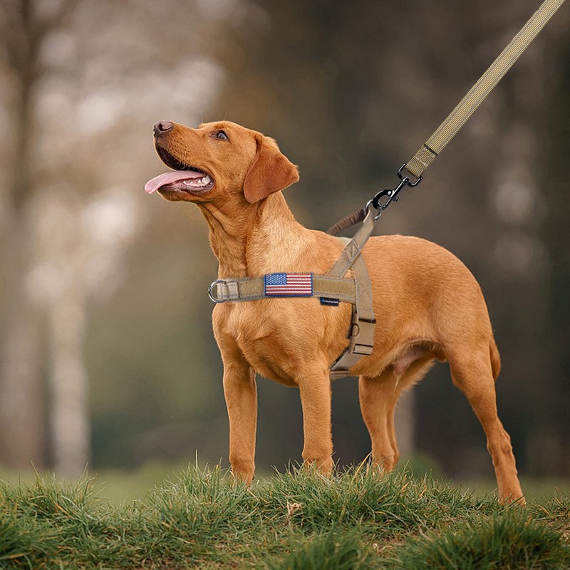 Annchwool No Pull Dog Harness with Soft Padded Handle,Reflective Strip