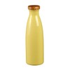 Yamasho Pottery Shigaraki Ware Ion Bottle, Candy Lemon Ion-s3