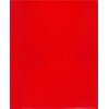 Lion 2-Pocket Plastic Folder with Fasteners, 1 Folder, Red (92310-RD)
