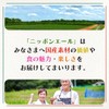 Itoen Daily Health Tea Burdock Blend Tea Bag Caffeine Zero