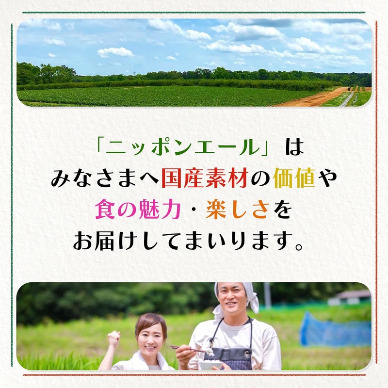 Itoen Daily Health Tea Burdock Blend Tea Bag Caffeine Zero