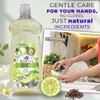 KUXTAL Dish Soap Liquid 3 Pack | Biodegradable & Eco-Friendly