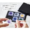 Pajico 403392 Toning Palette Mini Size Resin Accessory Production