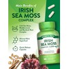 Nature's Truth Irish Sea Moss Capsules | 2,250mg | 90