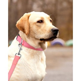 FunTags Reflective Dog Collar, Sturdy Nylon Collars for Large Girl and Boy Dogs, Adjustable Dog Collar with Quick Release Buckle, Neon Pink