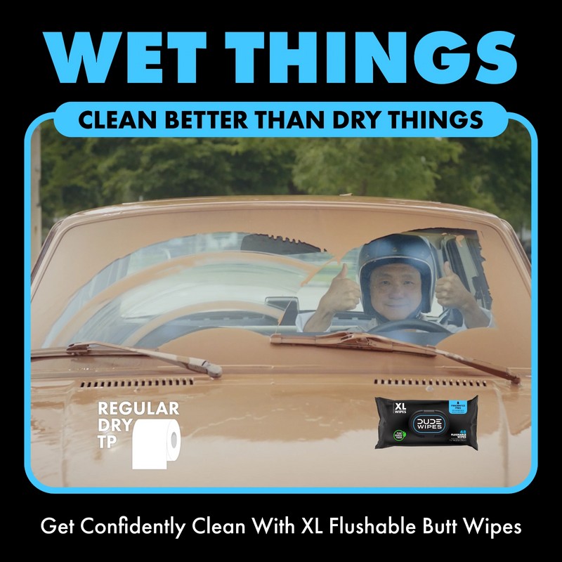 Dude Wipes Flushable Wipes Dispenser (3 Packs 48 Wipes), Unscented