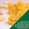 Health Thru Nutrition Boswellia Bospure Non-GMO 300Mg Vege-Capsules, 180 Count