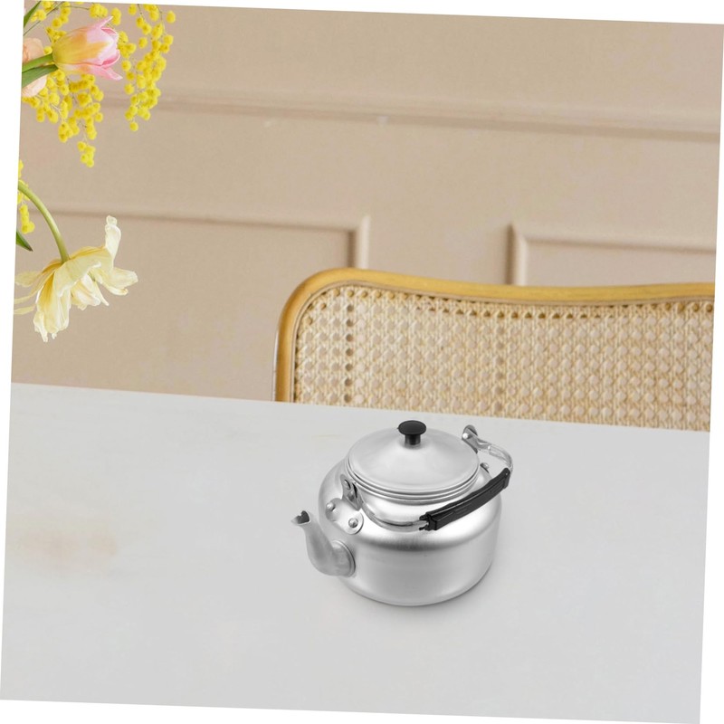 OHPHCALL Metal Tea Pot with Handle 800ml Water Kettle Teapot