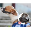 COZERI Small Dog Muzzle Ideal for Chihuahua, Young Medium and