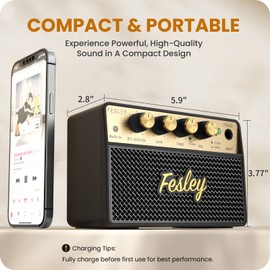 Fesley Mini Guitar Amp: 10W Portable Recharged Guitar Amplifier, Bluetooth Amp with Clean and Drive Channels, Mini Amplificador for Practice with 3.5mm Headphone Output, FGA10
