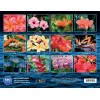 The Islander Group 2026 CALENDAR - HAWAIIAN FLOWERS