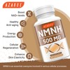 High-Potency NAD Supplement Alternative, 500mg Per Serving, Advanced NAD+ Booster,