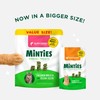 Minties Dental Treats for Cats, Salmon Flavored Treats for Cats,