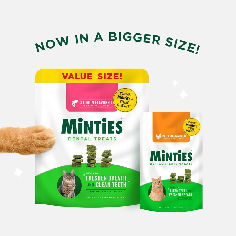 Minties Dental Treats for Cats, Salmon Flavored Treats for Cats,