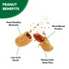 Hampton Farms - USA Grown All-Natural - Fancy Roasted In-Shell