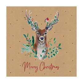 Eurowrap Assorted Christmas Cards Xmas Stag, 2 Designs Merry Christmas and Seasons Greetings - Eco Pack of 12