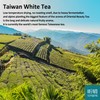 Xin Qing White Oolong Tea Oriental Beauty Tea Taiwan High