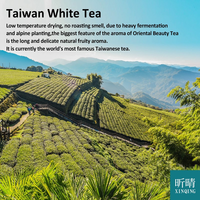 Xin Qing White Oolong Tea Oriental Beauty Tea Taiwan High