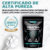 Creatina Monohidratada Micronizada Pura en Polvo 450 g – Sin