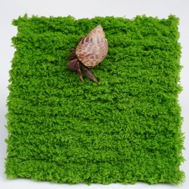 Jinymral Hermit Crab Climbing Wall, 6 Inch Adjustable Hermit Crab Supplies for Hermit Crab Tank