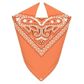 Van Der Rich ® 100% Cotton Bandanas with Paisley Pattern for Men Women (Orange, TU)