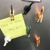 CHICHIC Cat Butt Magnets 6 Pack Fun Animal Butt Magnets