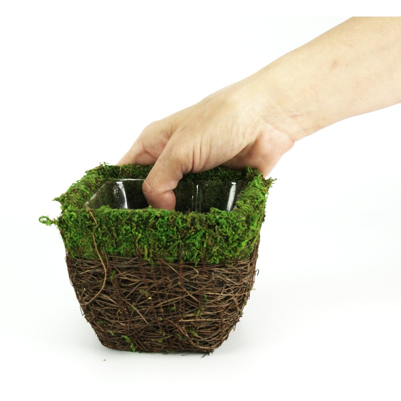 SuperMoss (55071 Ventura, Fresh Green, Small