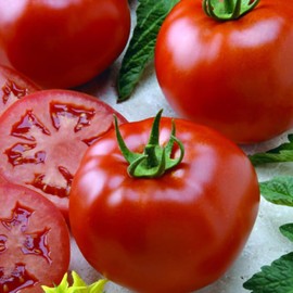 Better Boy VFN F1 Hybrid, Standard (Slicing) Tomato (Lycopersicon esculentum) Vegetable Seeds, Easy to Grow, Low Acidity, High Yields, Seeds by MySeeds.Co, You Choose The Amount (100 Seeds)