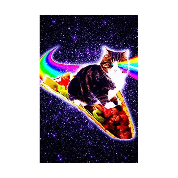 Rainbow Laser Eyes Galaxy Cat Riding Taco Daily Weekly Planner