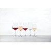 Schott Zwiesel Tulip German Crystal Glass Red Wine Glass, 17