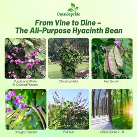 Outsidepride Green Lablab Hyacinth Bean Vine Seeds - 100 Pcs Perennial, Fast Growing Vegetable Seeds for Planting with Fragrant Foliage for Garden & Edible Flower and Pods for Culinary Uses