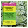 Grow More Maxi-Cal (10-0-0) - 16oz of USA-Made Calcium Nitrate