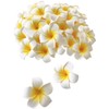 Plumeria Artificial Flowers Only Handmade DIY Supplies Decoration Accessories 4cm