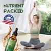 Moringa Leaf Drops with Vitamin C, Moringa Oleifera Extract Liquid