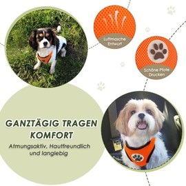 SlowTon Dog Harness with Seat Belt for Car, Breathable Dog Harness, Safety Belt with 2 Carabiner Hooks for Attaching to Seat Belt Buckle or Boot (Orange, L)