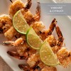 Artisan Salt Company Fusion Naturally Flavored Lime Fresco Sea Salt,