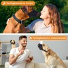 Yingphia Muzzle for Dogs, Breathable & Drinkable, Adjustable for Small