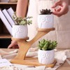 Linglan Ceramic Succulent Garden Planter, Mini Owl Flower Pots with