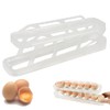 Tefola Egg Holder for Refrigerator, Egg Dispenser Roll Holder, 2-Tier