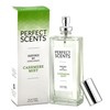 Perfect Scents – Inspired by Donna Karen’s Cashmere Mist Eau