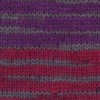 Patons Kroy Socks Yarn, 2-Pack, Purple Haze
